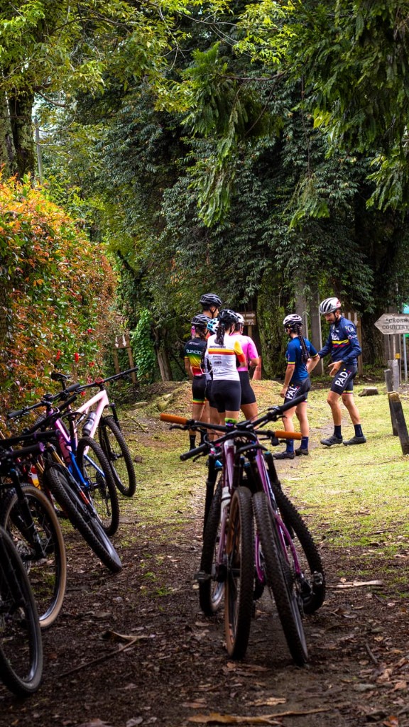 Bicicleta en primer plano sobre sendero